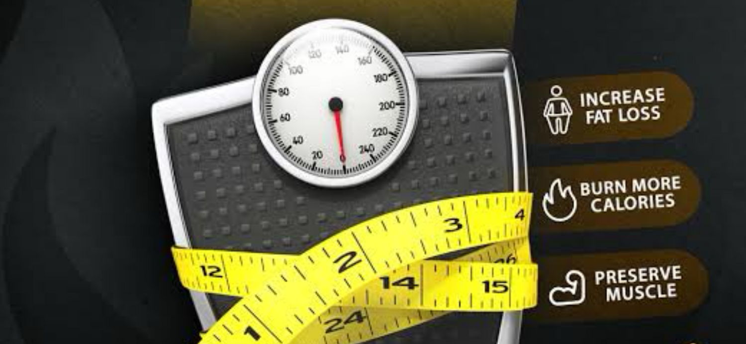 Fitness & Fat Burn Essentials