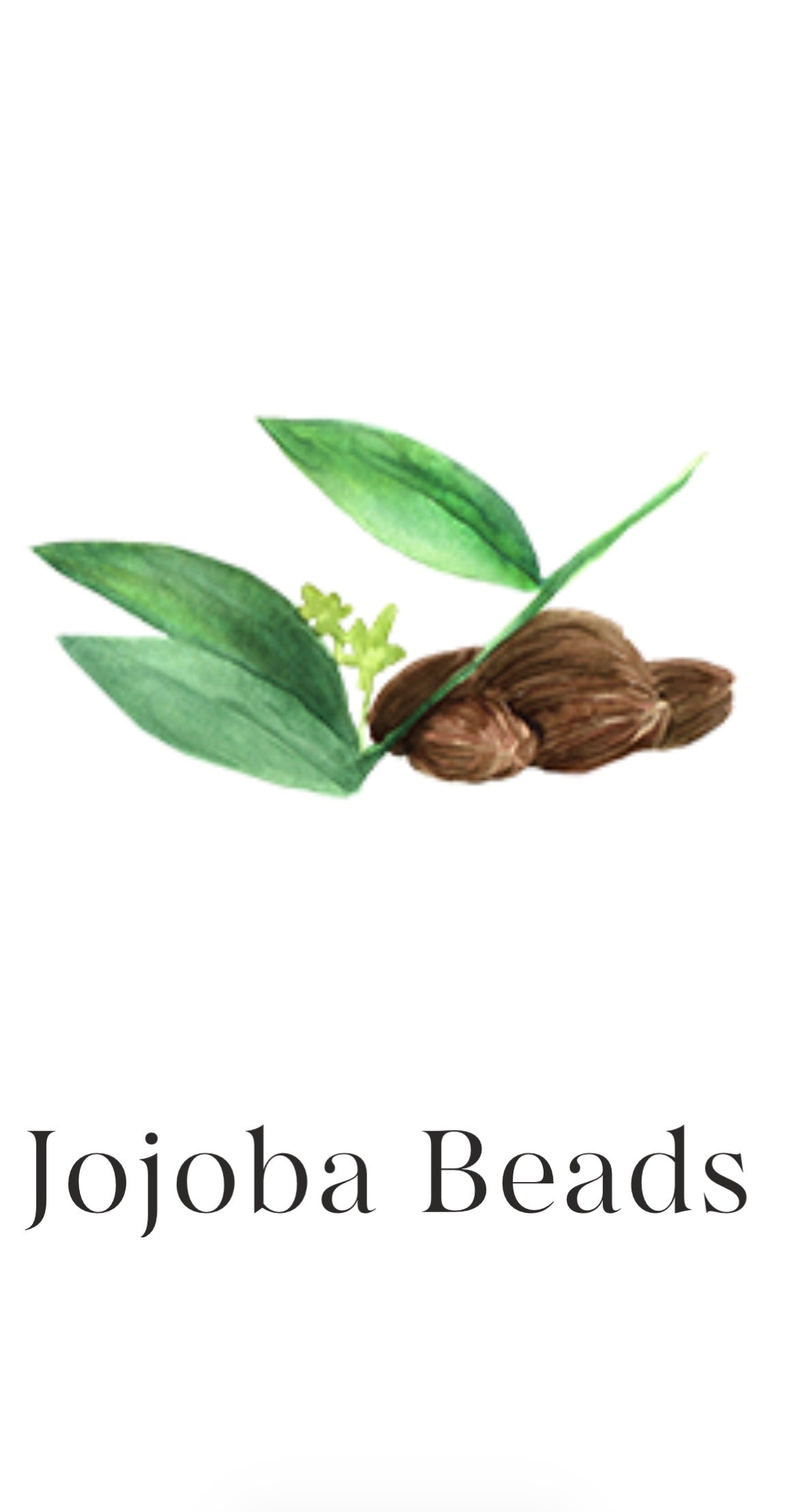 Forever Vitamin C™ & Forever Bakuchiol™ Day & Night Bundle  2x 30ml